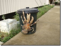 coconutcrab_Tyrel